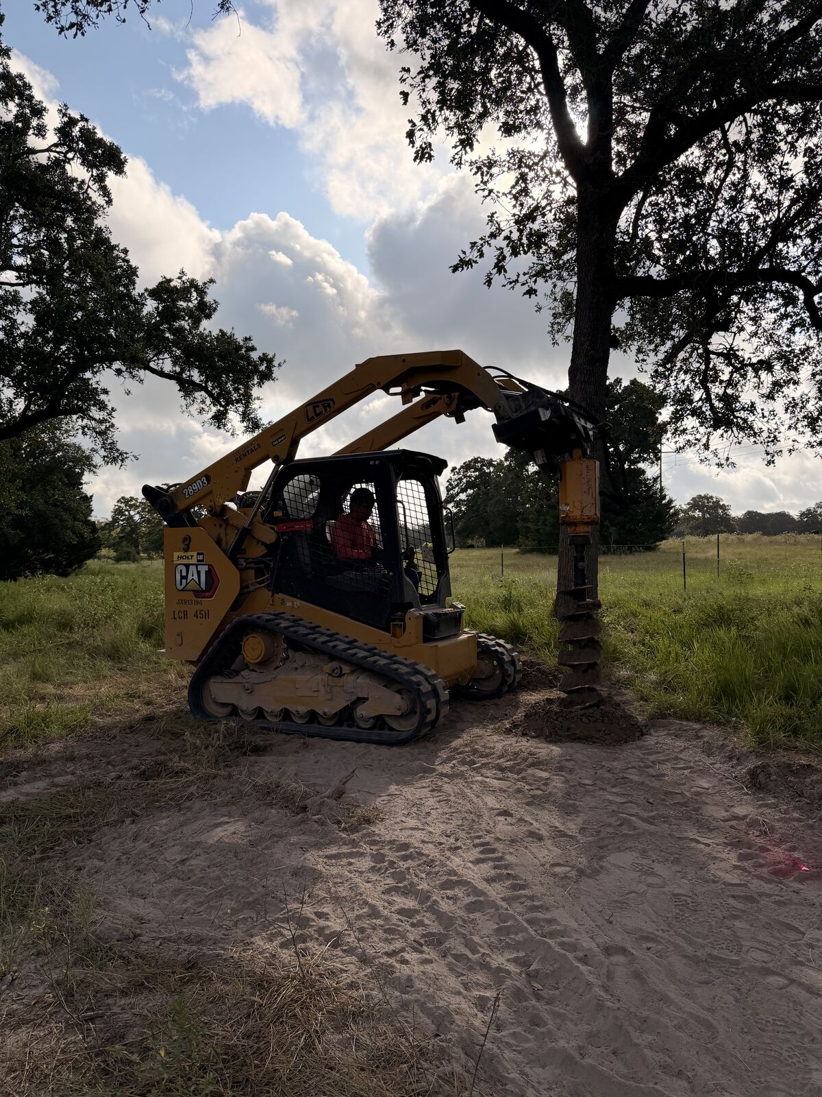 Skid steer with a grapple attachment working under a large oak